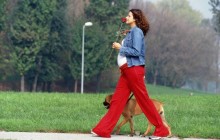 incinta-passeggiata