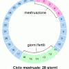 ciclo mestruale e mestruazioni differenza