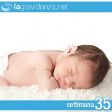 35-settimana-lagravidanza.net