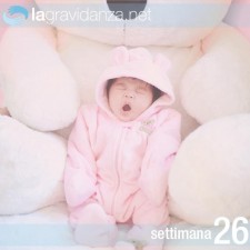 26-settimana-lagravidanza.net