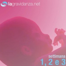 prime-settimane-lagravidanza.net