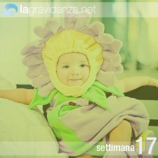 17-settimana-lagravidanza.net