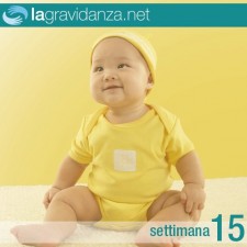 15-settimana-lagravidanza.net
