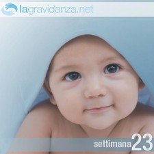 23-settimana-lagravidanza.net