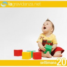 20-settimana-lagravidanza.net