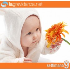 9-settimana-lagravidanza.net