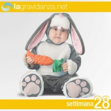 28-settimana-lagravidanza.net