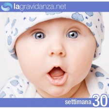 30-settimana-lagravidanza.net