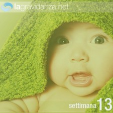 13-settimana-lagravidanza.net