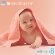 8-settimana-lagravidanza.net