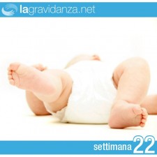 22-settimana-lagravidanza.net