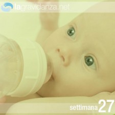 27-settimana-lagravidanza.net