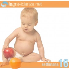16-settimana-lagravidanza.net