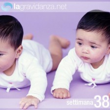 38-settimana-lagravidanza.net