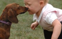 bambini e attenzione al cane
