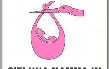 parcheggi per donna incinta