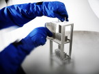 laboratorio inscientiafides
