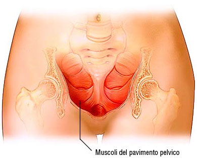 esercizi pavimento pelvico e perineo in gravidanza