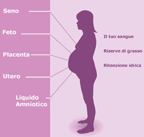 percentuali del peso in gravidanza