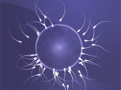 anomalie-spermatozoi