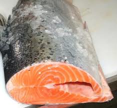 salmone-incinta