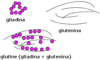 lipoproteina