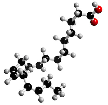 prostaglandine