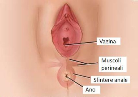 Quali esercizi di potere è possibile a emorroidi
