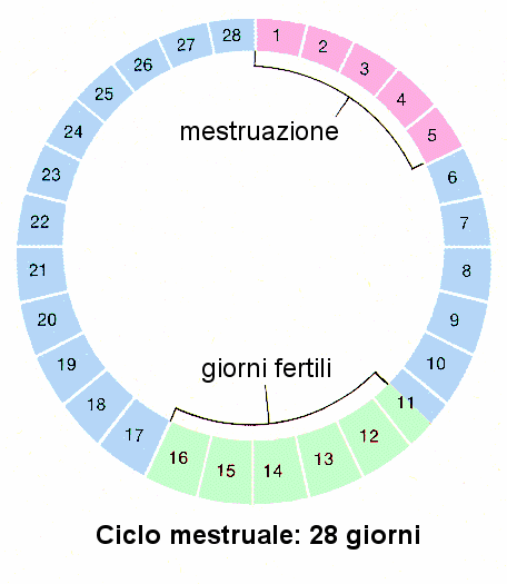 calendario mestruale