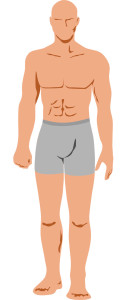 testicoli