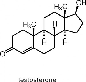 fertilità e testosterone