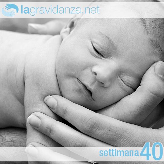 40-settimana-lagravidanza.net