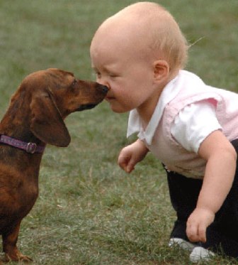 bambini e attenzione al cane