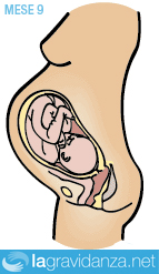 9-mese-gravidanza