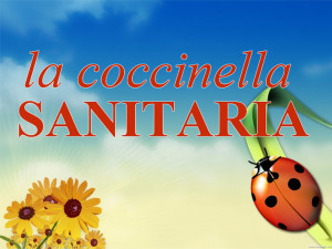 Logo La Coccinella Sanitaria